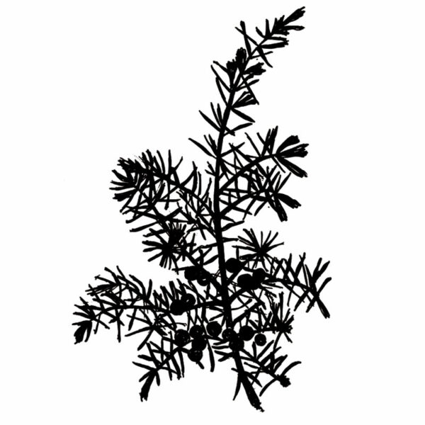 Såpestykke - Bilde 4