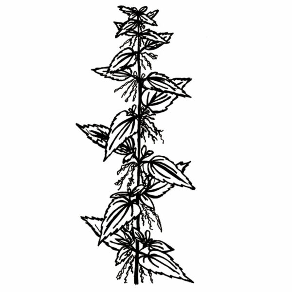 Såpestykke - Bilde 2